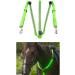 TYTOGE LED Horse Breatplate Collar Night Visible LED Horse Chest Collar Luminous Horse Chest Strap Safety Gear in Night Equipment Green - Buy Online on SooperMarket.com