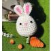 Beginner Crochet Kit: Rabbit & Carrot Stuffed Animal DIY Set with Video Tutorials - Buy Online on SooperMarket.com