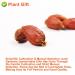 Buy Organic Gardenia Fruit Tea 80G | Chinese Herbal Tea - Jasmine Flavor - Natural Wellness - Buy Online on SooperMarket.com