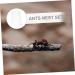 Minkissy 5pcs Ant Farm Habitat - Water Feeder & Ant Feeding Castle - Science Ant Colony Nest Box (2.8x2.5cm) - Buy Online on SooperMarket.com
