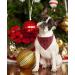 Shop Lionet Paws Christmas Bandana for Dogs - Triangular Headscarf in Black & Red Perfect for Small to Large Breeds - International Shipping Available! - Buy Online on SooperMarket.com