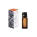 Koyamaki Japanese Botanical Air Essential Oil 10ml