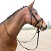 HORZE Lester Dressage Snaffle Bridle with Reins - Black Horse | Quality Equestrian Gear - Buy Online on SooperMarket.com