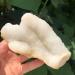 1pc Natural raw White Crystal Flower Cluster Specimen Snow Crystal Cluster Rough Fish Eye Stone for Decoration Stones kaixun 200-300g - Buy Online on SooperMarket.com
