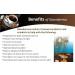 DXN Lingzhi Lite Coffee 3 in 1 with Ganoderma + 5's Nona Manis Disposable Coaster (Pack of 1) Original Pack of 1 - Buy Online on SooperMarket.com