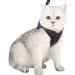 Adjustable Soft Cat Dishes & Ultra-Light Escape Protection Vest for Kittens & Puppies - Gray (1 Pack) - Buy Online on SooperMarket.com