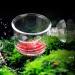 Senzeal 2PCS Large Glass Feeding Cone Cup for Aquarium with Seam - Ideal Fish Feeder for Brine Shrimp and Red Worms - Buy Online on SooperMarket.com