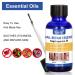 Premium Nail Care & Treatment | Repair Broken & Discolored Nails with Nourishing Nail Oil & Serum for Healthy Hands & Feet - Buy Online on SooperMarket.com