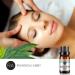 Eucalyptus Essential Oil 100% Pure Natural Aromatherapy Eucalyptus Oil for Diffuser (10ML) - Buy Online on SooperMarket.com
