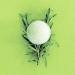 Natural Inspirations Eucalyptus Rosemary Mint Energizing Bath Bomb 5.5oz - Buy Online on SooperMarket.com