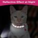 Shop Tagme Cat Neck Band - 2-Pack Reflective Collars for Kittens | Personalized Safety with Bell & Lock - Hot Pink 15-20 cm - Buy Online on SooperMarket.com