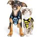 Breakproof Cat Dishes & Adjustable Soft Kitten Vest Set - Light Blue XS | Reflective Stripes for Safety - Buy Online on SooperMarket.com