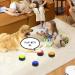 DHQKQG Dog Training Buzzer Set 4 Interactive Recording Buttons for Potty Communication & Cleanliness Training | International Shipping Available - Buy Online on SooperMarket.com