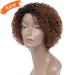 Short Ombre Kinky Curly Wig for Black Women - Glueless Human Hair Wig with Bangs - Buy Online on SooperMarket.com