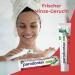 Parodontax Herbal Fresh Toothpaste for Bleeding Gums 75ml (Pack of 12) & Celexqua Toothbrush Cap - Best for Oral Care | International Shipping - Buy Online on SooperMarket.com
