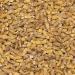 Wholefood Earth Pearl Barley 2 kg | GMO Free | High Fibre 2kg - Buy Online on SooperMarket.com