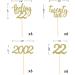 24pcs Feeling 22 Cupcake Toppers Twenty Two Birthday Cake Decorations Cheer to 22 Years Old Theme Party Decoration Supplies (Gold) - Buy Online on SooperMarket.com