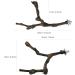 Allazon Natural Wood Bird Rods & Swing Toys - 4 Piece Parrot Playset for Birds - Ideal Bird Toys - Buy Online on SooperMarket.com
