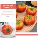 Alipis 30 Pcs Artificial Tomato Artifical Plant Photo Display Artificial Vegetables Decoration Tomato Photography Props Artificial Fruits Faux Fruit Fake Foods Toys Foam Decorations Mini Redx2pcs 7.5x7.5cmx2pcs - Buy Online on SooperMarket.com