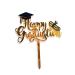 Graduation Cap Cake Topper Acrylic Pick Gift Son Daughter Classmate Friends Bachelor Cap Acrylic Cupcake Topper Graduation Cake Decoration