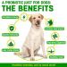 CANIVET Probiotics for Dogs. Canine Dietary Supplement - Aids Digestive Health 100g Powder Dog Probiotic. 5 Billion CFU** with 10 Strains of Good Bacteria for your Dog's Digestive Health. 100 g (Pack of 1) - Buy Online on SooperMarket.com