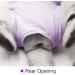 LIANZIMAU Cat Surgical Recovery Suit - Purple Medium - E-Collar Alternative & Pajama for Abdominal Wounds - Indoor Pet Clothing - Buy Online on SooperMarket.com