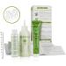 Naturtint 6GA Deep Almond Brown Hair Colour: Ammonia-Free, Grey Coverage, Plant Enriched - Buy Online on SooperMarket.com