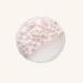 Catrice Endless Pearls Beautifying Primer | Vegan Alcohol-Free Paraben-Free | Transparent Radiance (30ml) - Buy Online on SooperMarket.com