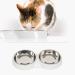 Catit Shallow Double Food Bowl - White | Sleek & Modern Design - Buy Online on SooperMarket.com