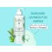 Babo Botanicals Eucalyptus Remedy Shampoo & Wash - Eucalyptus & Rosemary Oils - EWG Verified, Vegan & Cruelty-Free - 16 fl. oz - Buy Online on SooperMarket.com