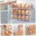 NAMOARLY Egg Storage Box Clear Drawer Plastic Eggs Egg Organizer for Refrigerator Egg Rack Devil Crisper - Buy Online on SooperMarket.com