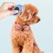 Knot Remover for Cats & Dogs | De-Filtered Knife & Fur Care Comb for Long-Haired Pets - Buy Online on SooperMarket.com