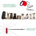 Etaccu Rollerin Retractable Dog Leash - 5m One-Button Block Reflective Non-Slip Handle for Small/Medium Dogs up to 20kg - Red - Buy Online on SooperMarket.com