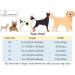 Shop Aring Pet Autumn Dog Halison - Cute Yellow Hall Band for Small Dogs | Adjustable Cotton with Metal Buckle - Perfect for Fall! - Buy Online on SooperMarket.com