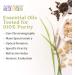 Aura Cacia Journey To Diffusion Kit - 4 Essential Oils (0.25 fl oz each) | Aromatherapy Starter Set - Buy Online on SooperMarket.com