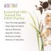 Aura Cacia Breezeway Essential Oil Blend - GCMS Tested for Purity, 15ml | Aromatherapy Oil - Buy Online on SooperMarket.com