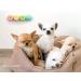 YUSHUD Cat Litter Deodorizer For All Kinds Cat Litter Box Solid Air Freshener Pet Odor Absorbing For Dog Cat Litter Toilet Pet Odor Absorbing Solid Air - Buy Online on SooperMarket.com