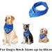 Blue Dog Birthday Boy Bandana for Small to Large Dogs - Puppy Party Scarf - Buy Online on SooperMarket.com