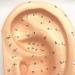 Human Body Model Acupuncture Pressure Points and Meridians 40cm - Buy Online on SooperMarket.com
