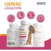 180 Turmeric for Dogs with Bioperine | Natural Premium Curcumin Capsules for Pets | Antioxidant Supplement for Hip & Joints - 180 Caps - Buy Online on SooperMarket.com