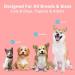Pack of 4 Finger Toothbrushes for Dogs - Dental Care for Small Medium & Large Breeds - Buy Online on SooperMarket.com