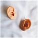 F Simulation Ear Template - Flexible Silicone Artificial Ear Template for Acupuncture Picking Picking Sweet Props View Studs - Buy Online on SooperMarket.com