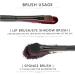 TOSSPER 10Pcs Eye Shadow Sponge Brushes - Dual Sided Makeup Applicator with Long Handle | Perfect Eyelash Cosmetic Tool for Flawless Application - International Shipping Available - Buy Online on SooperMarket.com