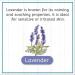 Brooke & Nora Daisy's Goat Milk Laundry Soap - Lavender Scent 96 Loads (48 oz) | Eco-Friendly International Shipping - Buy Online on SooperMarket.com