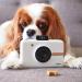 Polaroid Snap Instant Digital Camera with ZINK Zero Ink Printing - White Snow - Buy Online on SooperMarket.com