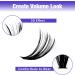 300PCS 40D 0.07mm D Curl Individual Cluster Lashes Extension | Mixed Lash Clusters 8-16mm | DIY Home Eyelashes Extensions - RR-8-16mm Wide Stem - Buy Online on SooperMarket.com