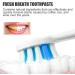 Sp4 Probiotic Whitening Toothpaste Fresh Breath Toothpaste Sp4 Teeth Whitening Paste Sp4 Deep Cleansing Care Toothpaste 2pcs C - Buy Online on SooperMarket.com