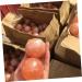 FRCOLOR Himalayan Salt Massage Balls - 2 Pcs Natural Crystal Soap Stone for Wellness & Relaxation - Buy Online on SooperMarket.com