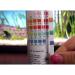 API Freshwater Master Test Kit Kit includes laminated color card 4 test tubes & holding tray - Buy Online on SooperMarket.com