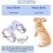 Adjustable Rabbit Leash & Cat Dishes - Perfect for Small Pets | International Shipping - Buy Online on SooperMarket.com